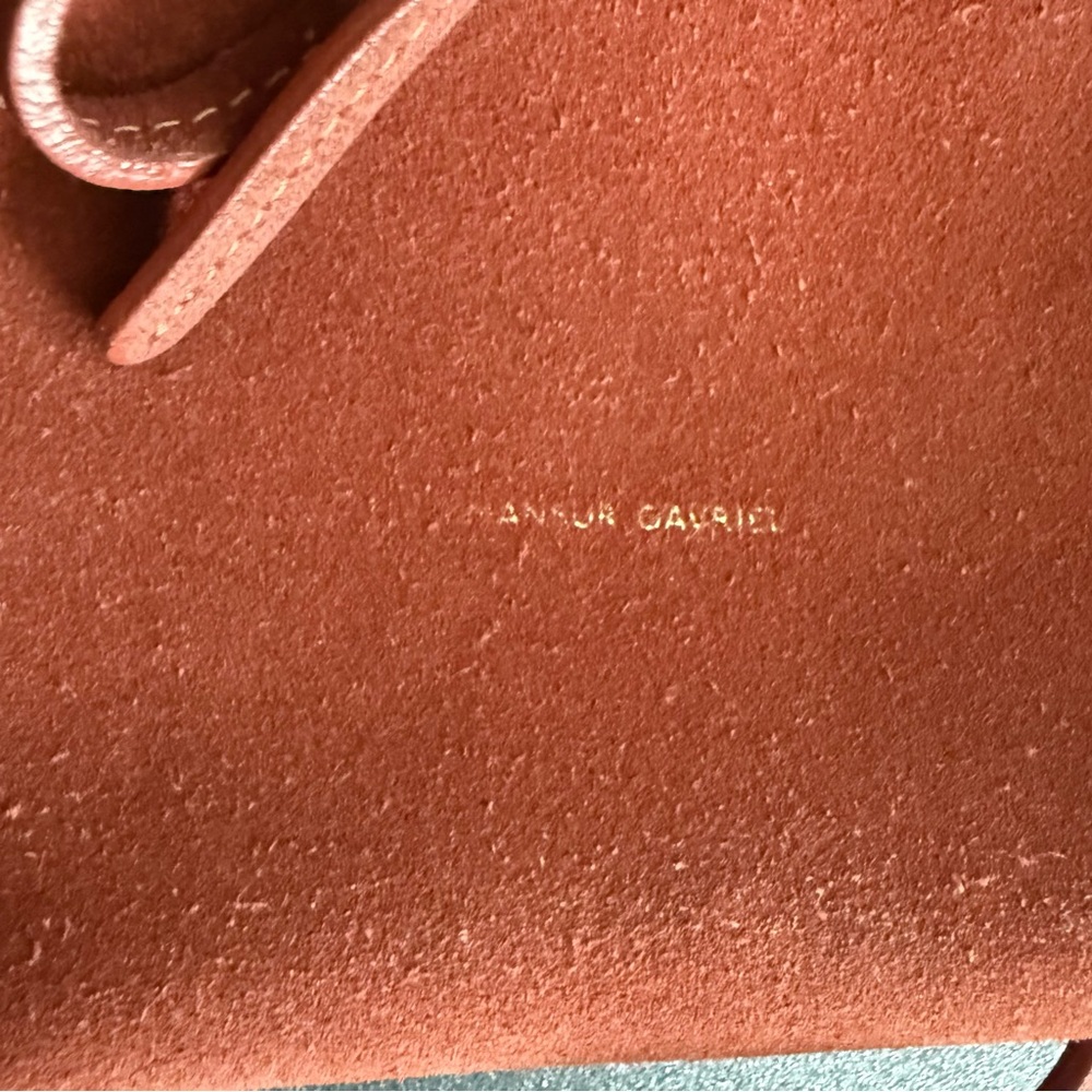 Mansur Gavriel Soft Suede Brick Brown Lady Bag Gold Hardware - Picture 13 of 16